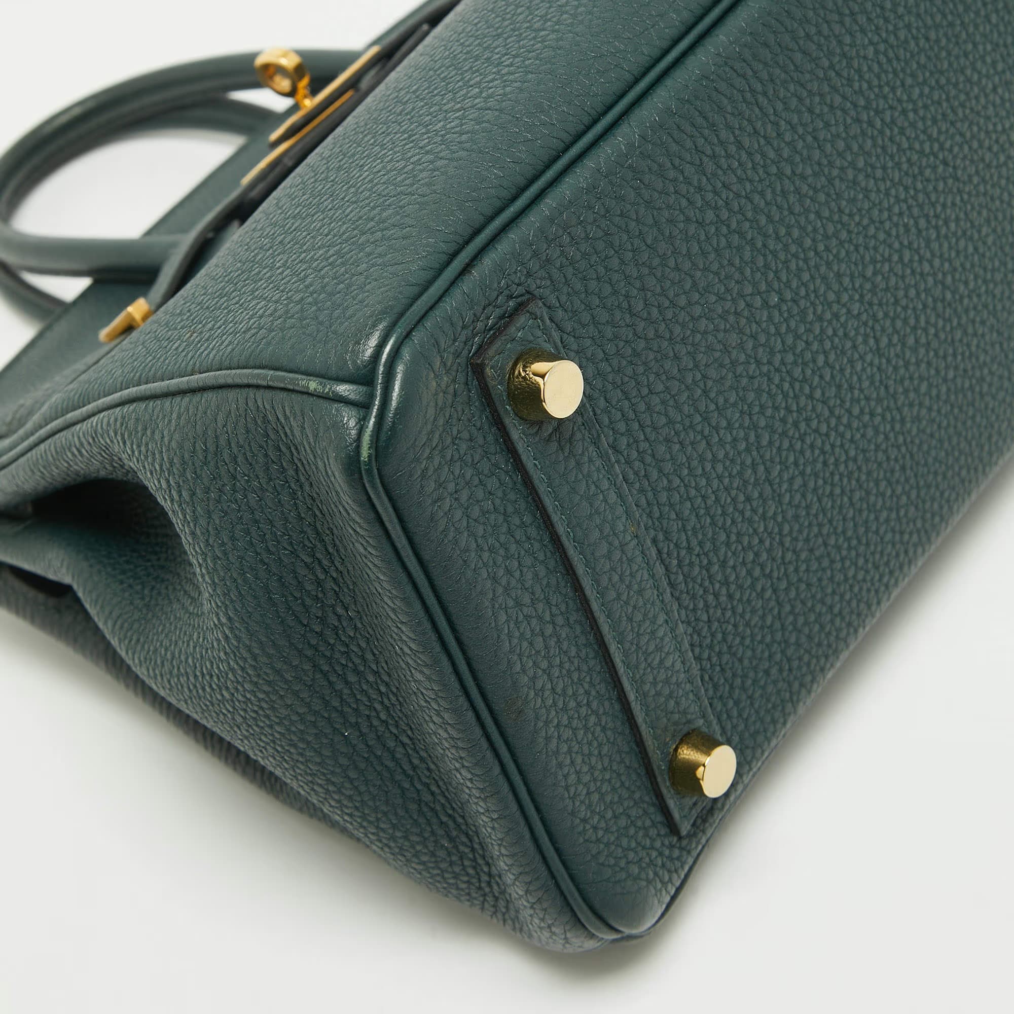 Birkin 25 Vert Cypress winning bag