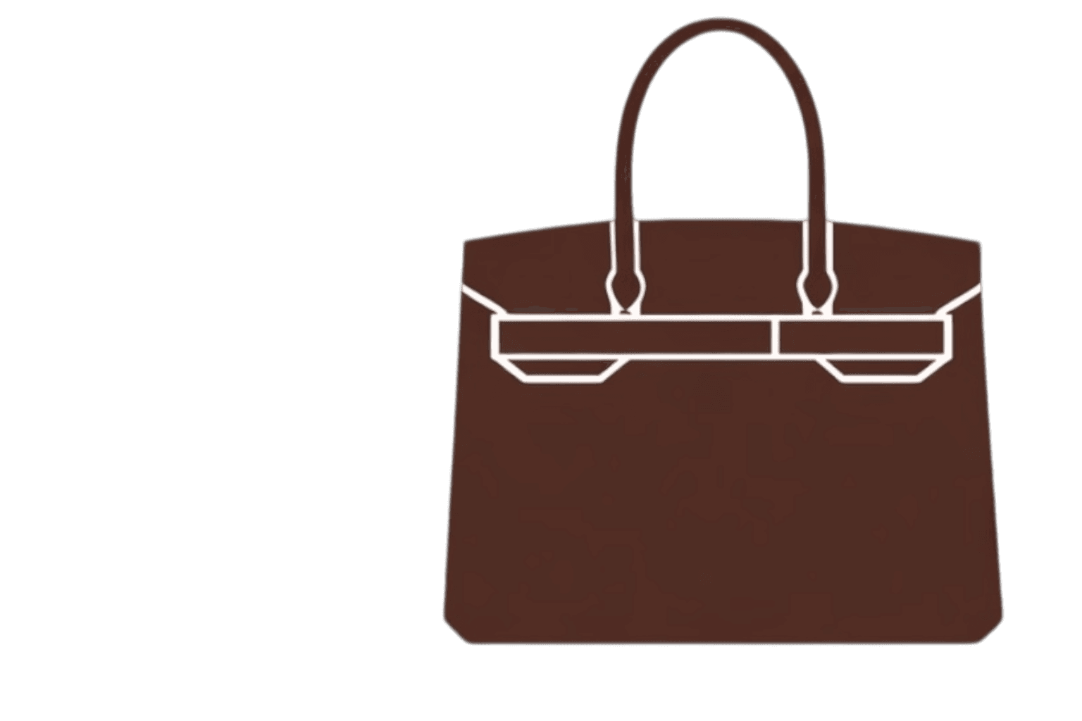 Birkin 25 Gold Togo winning bag